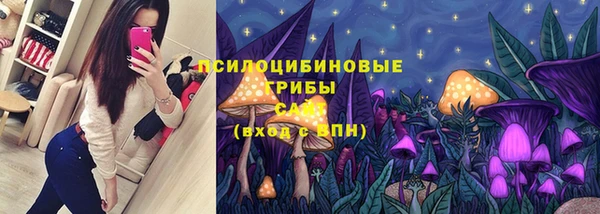 PSILOCYBIN Бородино